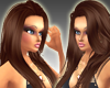 Brunette Hair Icon
